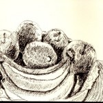 fruit